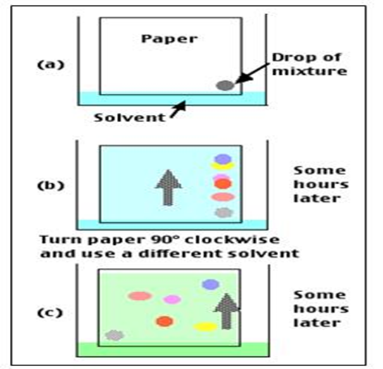 Two Dimensional Paper Chromatography