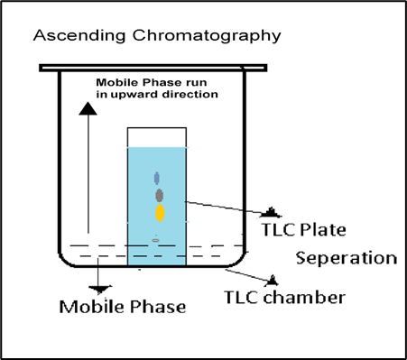 Ascending Paper Chromatography