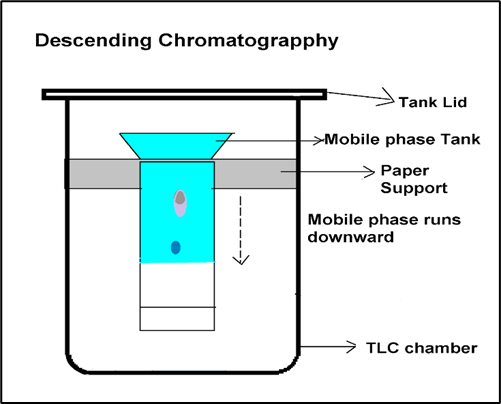 Descending Paper Chromatography