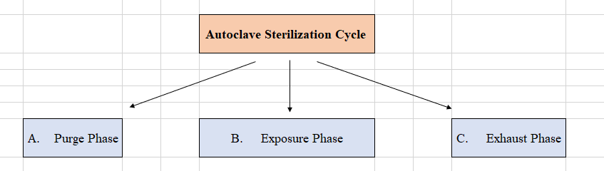 Autoclave Sterilization Cycle or Autoclaving Process